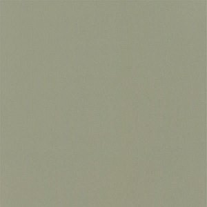 Фасад кухонный МДФ Пленка Латте 854 размер 200x200 мм